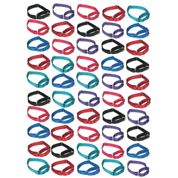 50 Martingale Dog Collar Bulk Packs Shelter Rescue Vet Assorted Colors Pick Size (Medium - 14 to 20 inch)