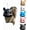 Black, variant on Squirrel Head Feeder, Funny Outdoor Hanging Wildlife & Squirrel Feeders for Yard Garden Decoration, Cute Animal Face Novelty Yard Art, Perfect Fall & Holiday Gift for Gardeners (Black)