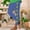 Blue, variant on Womens St Patricks Day Leggings Stretchy High Waisted Soft Shamrock Legging Irish Clover Saint Pattys Day Tights