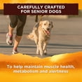 thumbnail image 5 of Nature's Recipe Lamb Meal & Rice Recipe Dry Dog Food for Senior Dogs, 30 Pounds, 5 of 9