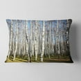 thumbnail image 2 of Designart Sunny Autumn Birch Grove - Modern Forest Throw Pillow - 12x20, 2 of 5