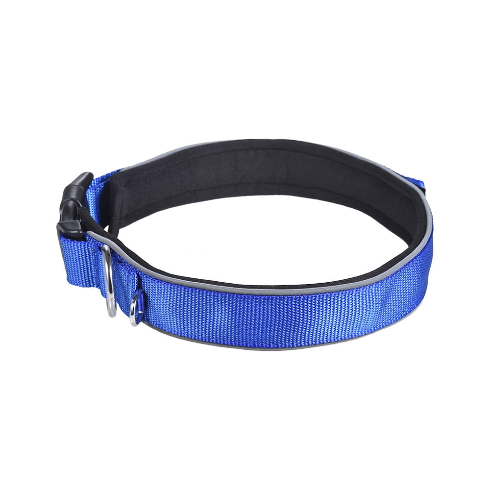 Strong Durable Dog Collar Dual Dring Nylon Fasten Tape Length