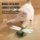 thumbnail image 5 of Juguete Interactivo para Gatos Kearding Decoración Araña, 5 of 6