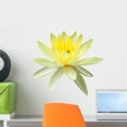 thumbnail image 1 of Yellow Water Lily White Wall Mural by Wallmonkeys Peel and Stick Graphic (18 in W x 12 in H) WM271644, 1 of 4