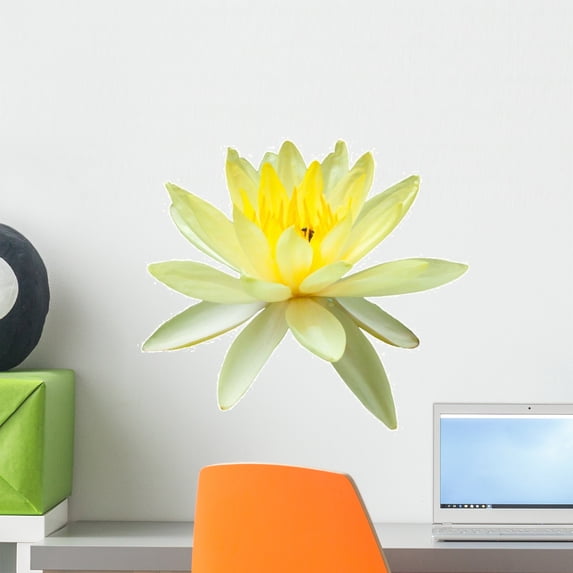 Yellow Water Lily White Wall Mural by Wallmonkeys Peel and Stick Graphic (18 in W x 12 in H) WM271644