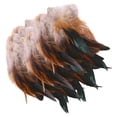 thumbnail image 3 of Abbraccia 50x Feathers for Crafts Colors Feathers Handicraft Accessories Decorative Feathers for Holidays Hats Costumes Wedding Cosplay Black, 3 of 10