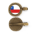 thumbnail image 1 of Chile national flag America del sur país símbolo Mark patron Broche broche broche broche broche broche, 1 of 3