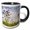Black/White, variant on 3drose, Prairie Clover, Crow Hassan County Park, Minnesota - Us24 Rsp0007 - Rob Sheppard, 11oz Magic Transforming Mug
