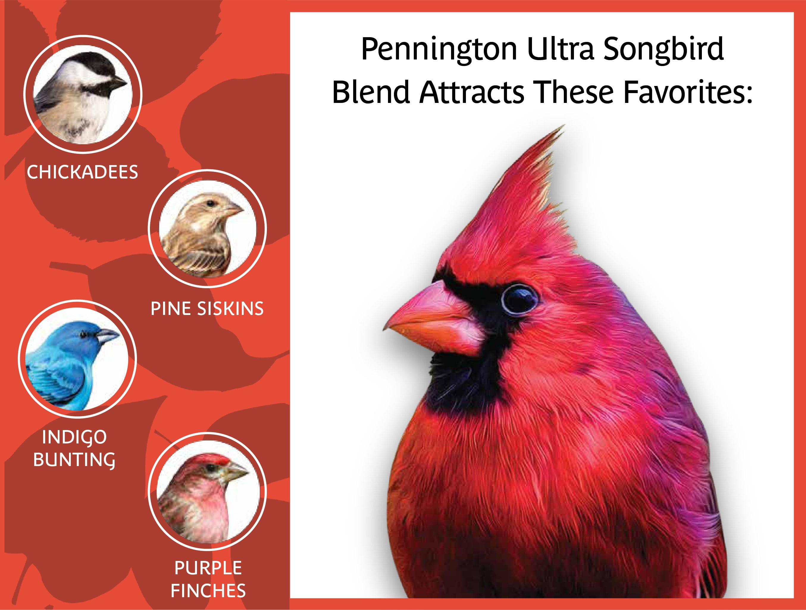 pennington songbird blend