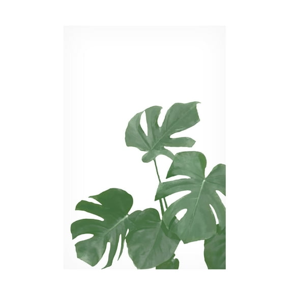 Canvas Wall Art - Pictufy Studio Ii 'Monstera Aqua 04' Wall Art for Living Room, Bedroom, or Office Décor by Trademark Fine Art - 12 x 19 Inches