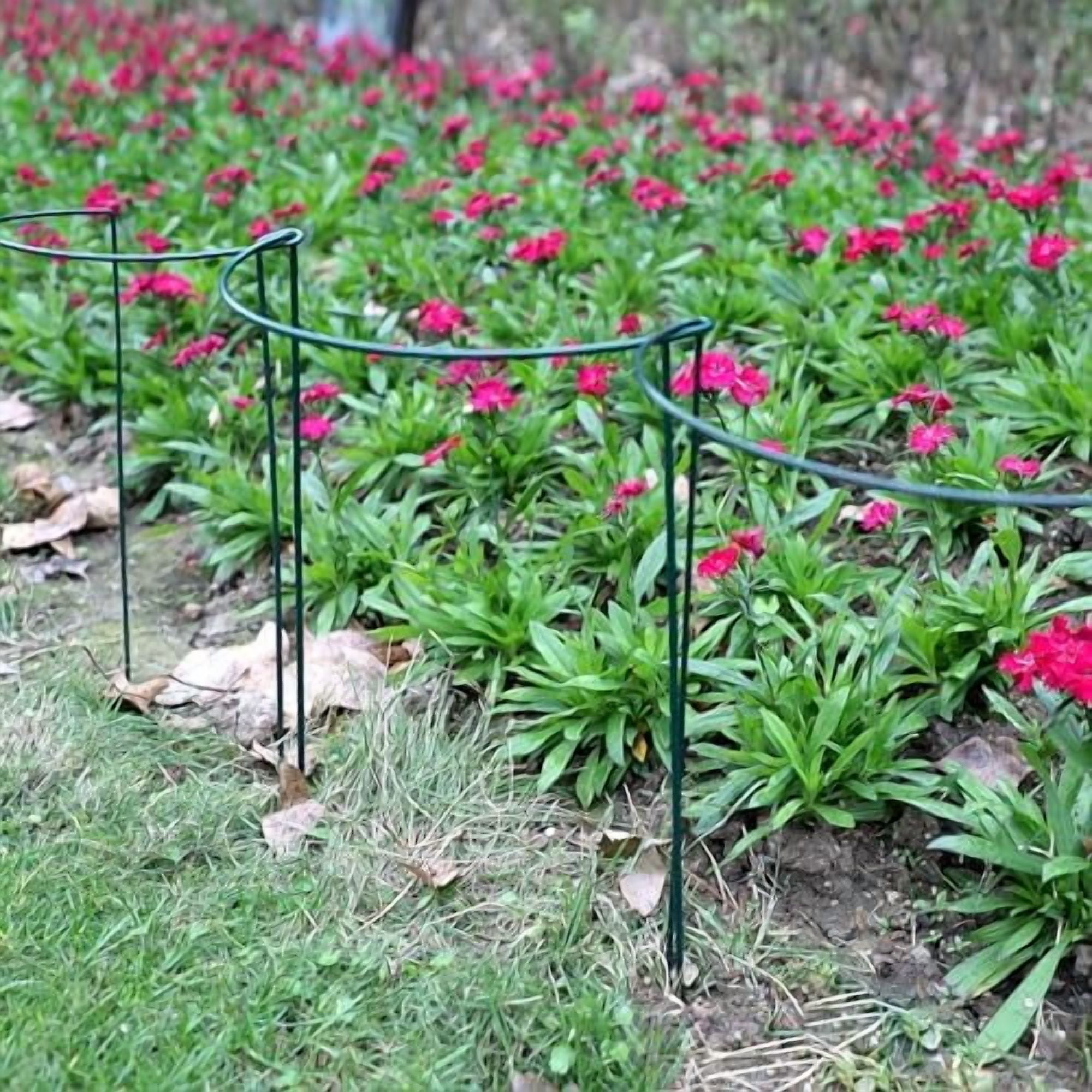 RibRave 10 Pack Garden Plant Support Stakes,10" Widex16 High Heavy Duty Interlinked Half Round Peony Support Ring Cage for Indoor Outdoor Plants,Plant Supports for Peony,Tomato,Hydrangea,Rose