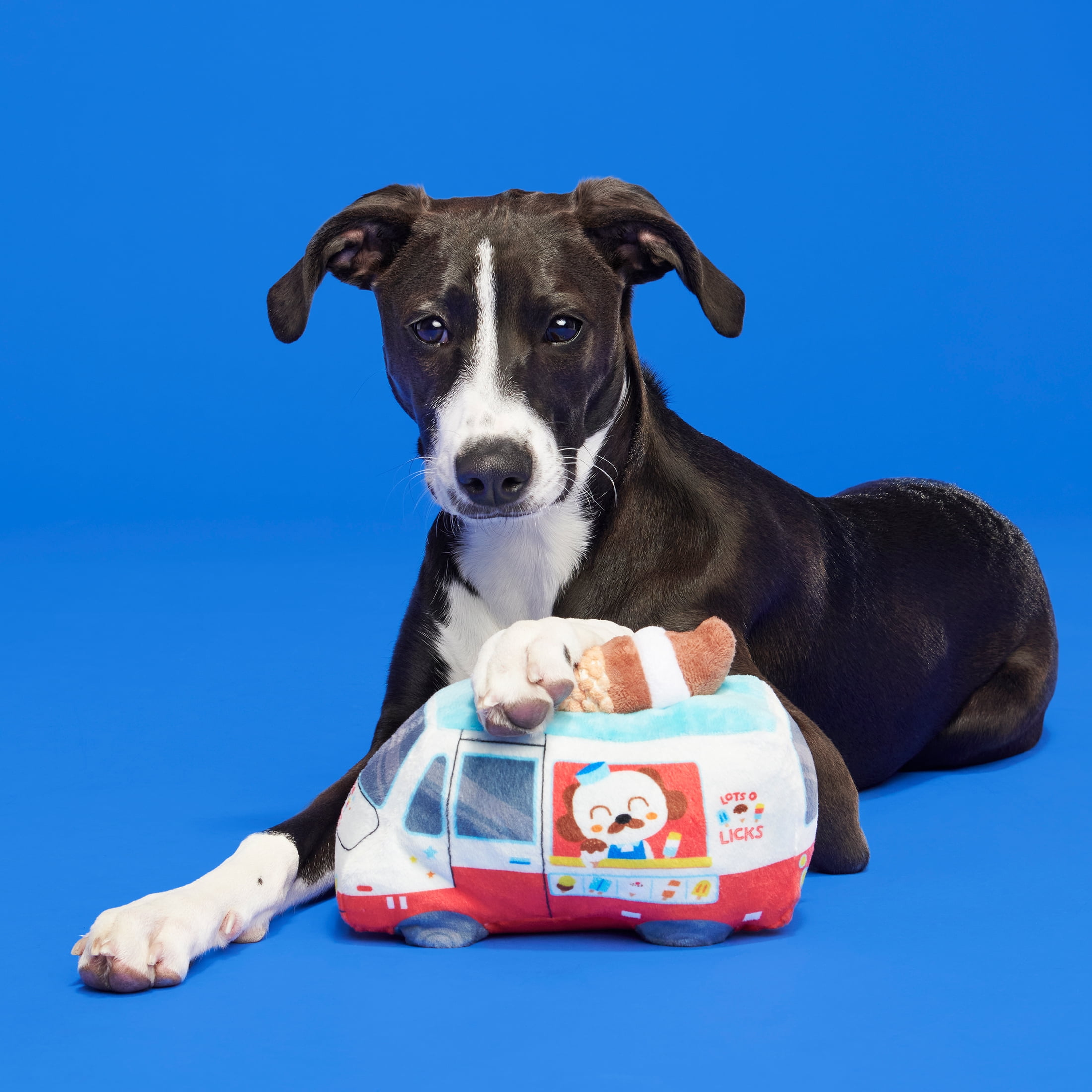 Lot 2 BARK Yankee Doodle Candy Dog Toy for Shredders Bonus Spiky Squeaker  Ball