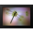 thumbnail image 2 of Hoffman, Jimmy 14x11 Black Modern Framed Museum Art Print Titled - LibA lA lula, 2 of 5