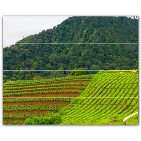 Picture-Tiles.com: Farm Ceramic Tile Wall Mural WAL500569-54S. 21.25"W x 17"H using (20) 4.25" x 4.25" Ceramic Tiles-Satin Finish