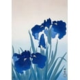 thumbnail image 2 of Koson, Ohara 24x32 Gold Ornate Wood Framed with Double Matting Museum Art Print Titled - Iris flowers, 2 of 4