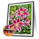 thumbnail image 4 of Kit 5D DIY Flores Mosaico Taladro Cgtredaw G375, 4 of 9