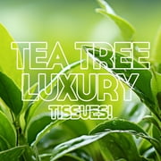 WBM 2-Ply Facial Tissue, Tea Tree Fragrance, 200 Tissues per Pack, Pack of 10, White