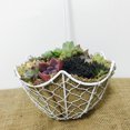thumbnail image 2 of Rustic Metal Cactus Planter Wire Wreath Frame Succulent Pot ing Plant Holder Garden Decor, Assorted - Umbrella Shape, 2 of 8