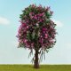thumbnail image 2 of 1/50 árboles árbol Para Paisajismo Ferroviario - UNA Sunnimix  Diseño del árbol de paisaje, 2 of 8