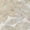Ivory, variant on Addison Rugs Chantille Indoor/Outdoor Transitional Floral Black Machine Washable Rectangle Rug, 10' x 14'
