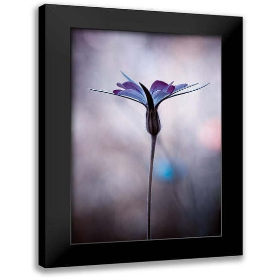 Bravin, Fabien 13x18 Black Modern Framed Museum Art Print Titled - Sylvidra