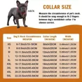 thumbnail image 4 of Collar De Perro Con Cadena Dorada Para Perros Grandes, Colla, 4 of 8