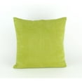 thumbnail image 2 of Wayborn 11265-1 17 x 17 in. Decorative Pillow - Green & White, 2 of 2