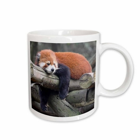 

3dRose Adorable Red Panda Sichuan Province China Ceramic Mug 11-ounce