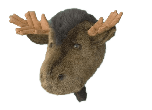 stuffed animal mount