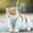 Green, variant on TIMIFIS Cat Harness Cat Belt and Leash Set Walking Adjustable Puppy Mesh Vest S/XL Cat Harness And Leash - Fall