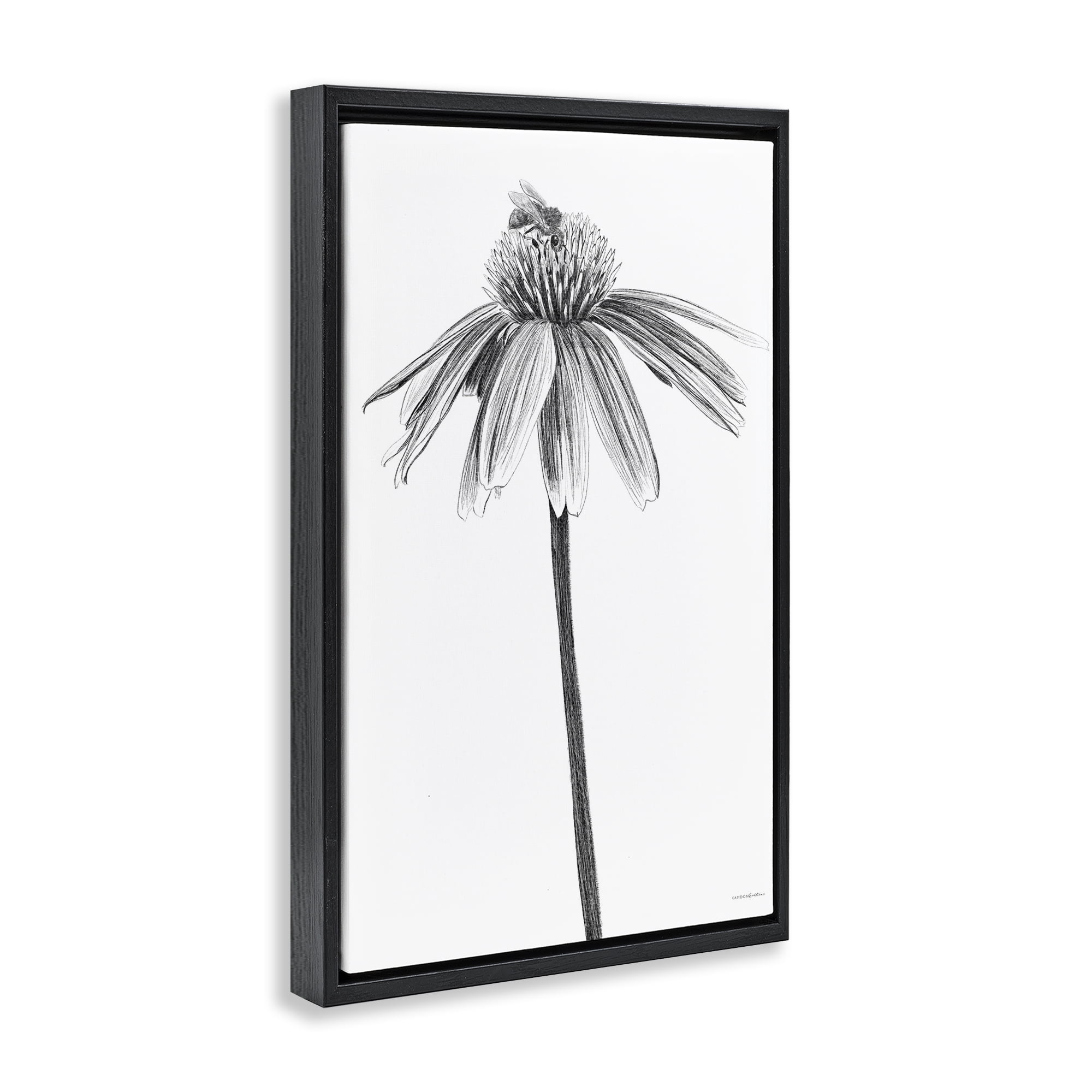 Stupell Industries Simple Daisy Sprig Botanical & Floral Drawing Black Floater Framed Art Print Wall Art, 17 x 25