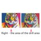 thumbnail image 4 of DIY 5D Diamond Painting 7198 Colorful Tiger 25X30 Taladro completo yeacher pintura de diamante, 4 of 6