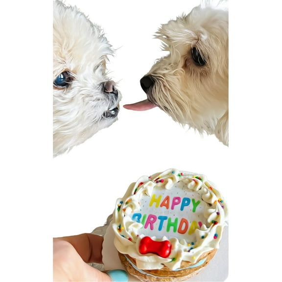 DEZICAKES Dog Birthday Cake- Edible Puppy Crunchy Cookie Cake- Bad to the Bone- Dog Cake Boxed & Decorated Natural Ingredients Bacon Cheddar