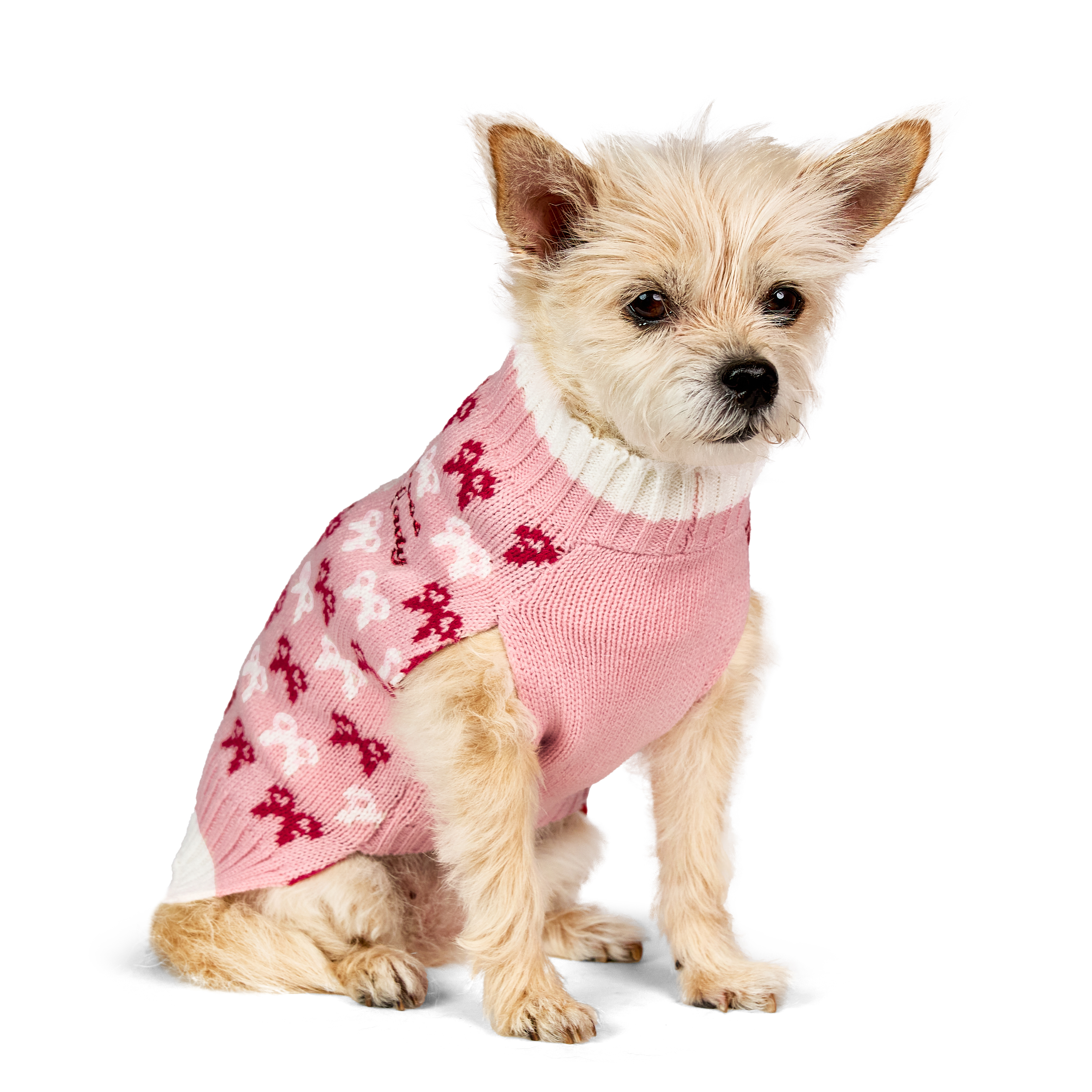 Vibrant Life Holiday Pet Sweater for Cats & Dogs, Boss Lady Bows, Pink, Extra Small