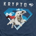 thumbnail image 2 of Superman 2025 Krypto Sky Shield Unisex Adult Heather T Shirt, 2 of 4