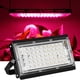 thumbnail image 1 of Lámpara LED para plantas de 50W, foco de espectro completo, luz para plantas, lámpara de crecimiento para invernadero, 1 of 6