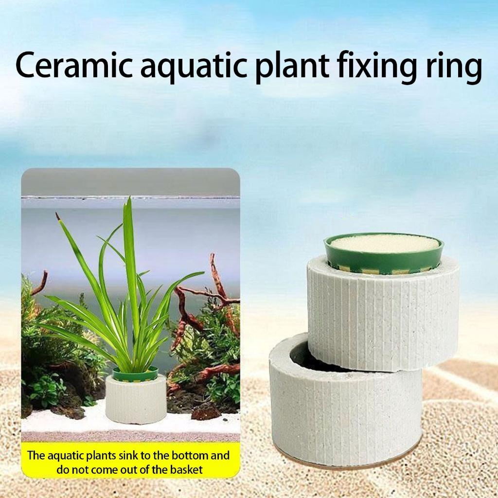 10Pcs Water Plant Weights Ceramic Aquarium Plant Fixed Rings Aquarium Decoration Accessories for Freshwater Saltwater