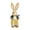 D, variant on Rush Grass Easter Bunny, 14-Inch Artificial Rabbit with Natural-Looking Grass Skirt, Garden Stakes for Yard & Spring Porch Decor F