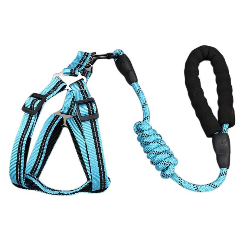 strap dog harness
