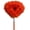 E, variant on OADUKQ Fiber Duster with Telescoping Pole, Household Cleaning and Maintenance Tool, Bathrooms Kitchens Cabinets and Household