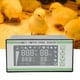 thumbnail image 1 of Máquina de incubadora de huevos de gallina controlador de temperatura de incubadora de huevos portátil de rendimiento estable para pato para codorniz para pollo ANGGREK Otros, 1 of 8