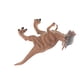 thumbnail image 3 of Figura De Dinosaurio De Dinosaurio Para Niños, Modelo De Dinosaurio Pachycephalosaurus Estático, Juguete Con Decoración De Sonido, Regalo, 3 of 7