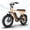 Orange, variant on Tamobyke T63 Electric Bike for Adults,750W Motor,36V/13Ah Battery,20"x4.0" Fat Tire E-Mountain Bike,UL2849