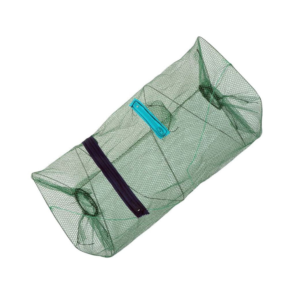 Le Bois De Paulownia - Un Bois Léger, Résistant Et économique