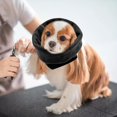 thumbnail image 3 of Capucha para mascotas Yuyangstore para orejas de perro Negro M, 3 of 8