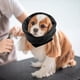 thumbnail image 4 of 2 Uds Redecil para Perro Zulema M Cubierta de orejas de mascotas, 4 of 8