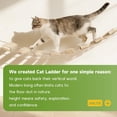 thumbnail image 6 of 22in Outdoor Cat Tree & Bridge, Multi-Level Cat Ladder with Sisal Rope,  Climbing Frame, Scratch Post, Perch & Play Tower for Indoor/Outdoor Cats, Parrots & Small Pets (Wood, 22in), 6 of 6