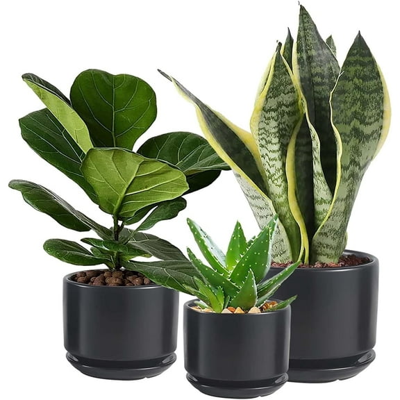 WHOMEPAA Ceramic Plant Pots,Modern Indoor Planters with Drainage Holes and Saucers,Garden Pots 4.3/5.3/6.7 inchs Set of 7,Flower Pot with Hole Mesh Pad for House Outdoor Indoor Plants and Flowers