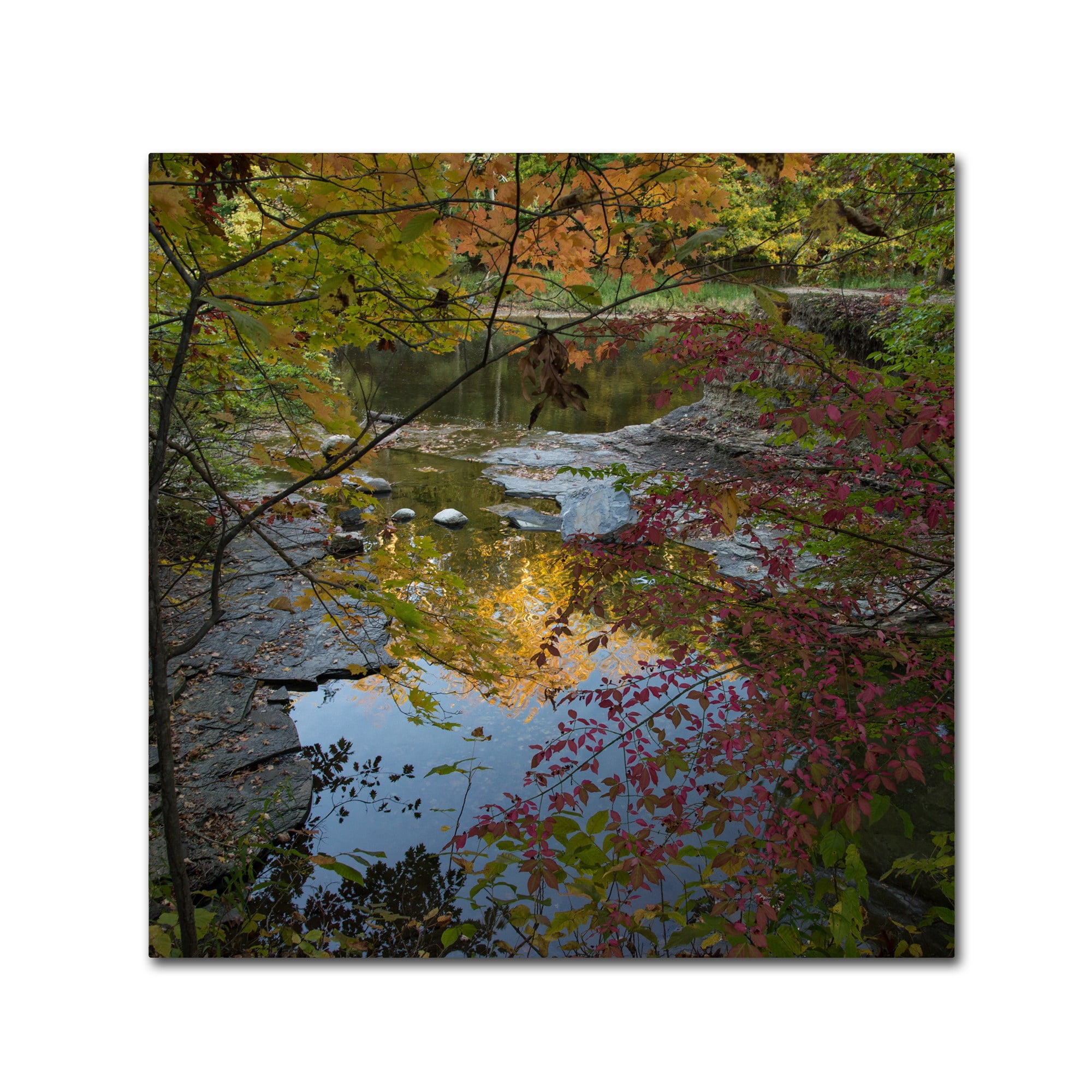 Trademark Fine Art "Why I Love Autumn 3" Canvas Art by Kurt Shaffer
