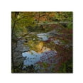 thumbnail image 2 of Trademark Fine Art "Why I Love Autumn 3" Canvas Art by Kurt Shaffer, 2 of 4